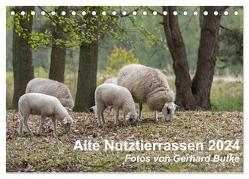 Alte Nutztierrassen 2024 (Tischkalender 2024 DIN A5 quer), CALVENDO Monatskalender von Butke,  Gerhard