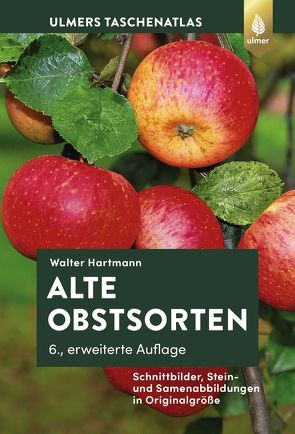 Alte Obstsorten von Hartmann,  Walter