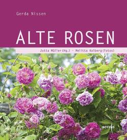 Alte Rosen von Kolberg,  Melitta, Müller,  Jutta, Nissen,  Gerda