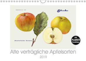 Alte verträgliche Apfelsorten (Wandkalender 2019 DIN A4 quer) von M. Laube,  Lucy