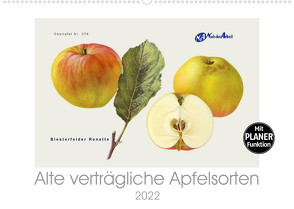 Alte verträgliche Apfelsorten (Wandkalender 2022 DIN A2 quer) von M. Laube,  Lucy