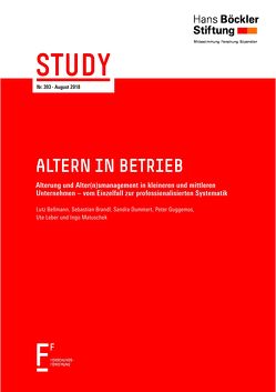 Altern in Betrieb von Bellmann,  Lutz, Brandl,  Sebastian, Dummert,  Sandra, Guggemos,  Peter, Leber,  Ute, Matuschek,  Ingo