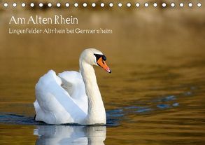 Am Alten Rhein – Lingenfelder Altrhein bei Germersheim (Tischkalender 2018 DIN A5 quer) von Fietz,  Günter