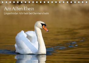 Am Alten Rhein – Lingenfelder Altrhein bei Germersheim (Tischkalender 2019 DIN A5 quer) von Fietz,  Günter