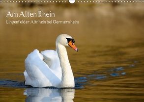 Am Alten Rhein – Lingenfelder Altrhein bei Germersheim (Wandkalender 2018 DIN A3 quer) von Fietz,  Günter