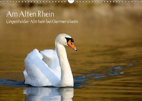 Am Alten Rhein – Lingenfelder Altrhein bei Germersheim (Wandkalender 2019 DIN A3 quer) von Fietz,  Günter