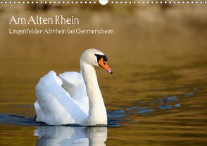 Am Alten Rhein – Lingenfelder Altrhein bei Germersheim (Wandkalender 2021 DIN A3 quer) von Fietz,  Günter