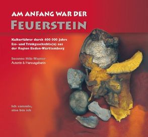 Am Anfang war der Feuerstein von Collenberg-Plotnikov,  Bernadette, Hilz-Wagner,  Susanne