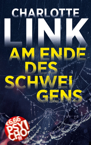 Am Ende des Schweigens von Link,  Charlotte