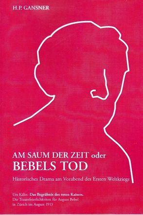 AM SAUM DER ZEIT oder BEBELS TOD. Historisches Drama am Vorabend des Ersten Weltkriegs. von Gansner,  H. P., Kälin,  Urs, Oetterli Hohlenbaum,  Bruno, Oetterli,  Belinda