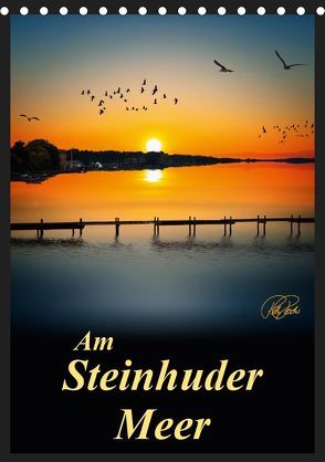 Am Steinhuder Meer / Planer (Tischkalender 2019 DIN A5 hoch) von Roder,  Peter