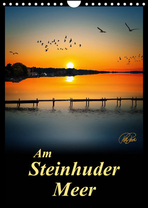 Am Steinhuder Meer / Planer (Wandkalender 2022 DIN A4 hoch) von Roder,  Peter