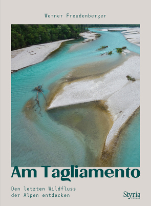 Am Tagliamento von Freudenberger,  Werner