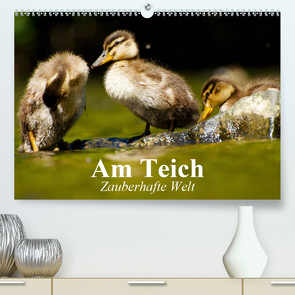 Am Teich. Zauberhafte Welt (Premium, hochwertiger DIN A2 Wandkalender 2021, Kunstdruck in Hochglanz) von Stanzer,  Elisabeth