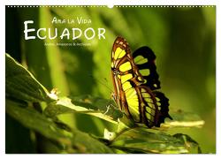 Ama la Vida Ecuador (Wandkalender 2024 DIN A2 quer), CALVENDO Monatskalender von Stamm,  Dirk