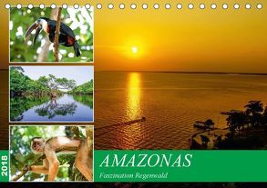 Amazonas – Faszination Regenwald (Tischkalender 2018 DIN A5 quer) von Nawrocki,  Markus