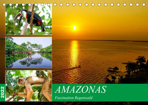 Amazonas – Faszination Regenwald (Tischkalender 2022 DIN A5 quer) von Nawrocki,  Markus