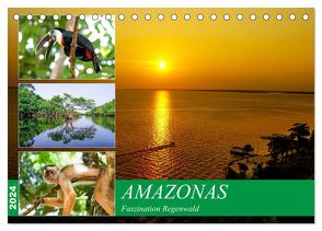 Amazonas – Faszination Regenwald (Tischkalender 2024 DIN A5 quer), CALVENDO Monatskalender von Nawrocki,  Markus