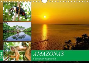 Amazonas – Faszination Regenwald (Wandkalender 2018 DIN A4 quer) von Nawrocki,  Markus