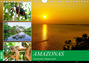 Amazonas – Faszination Regenwald (Wandkalender 2020 DIN A4 quer) von Nawrocki,  Markus
