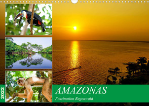 Amazonas – Faszination Regenwald (Wandkalender 2022 DIN A3 quer) von Nawrocki,  Markus