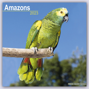 Amazons – Amazonenpapageien 2023 – 16-Monatskalender