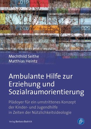 Ambulante Hilfe zur Erziehung und Sozialraumorientierung von Heintz,  Matthias, Seithe,  Mechthild