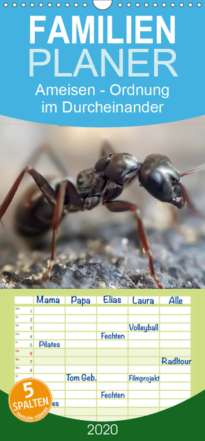 Ameisen – Ordnung im Durcheinander – Familienplaner hoch (Wandkalender 2020 , 21 cm x 45 cm, hoch) von Roder,  Peter