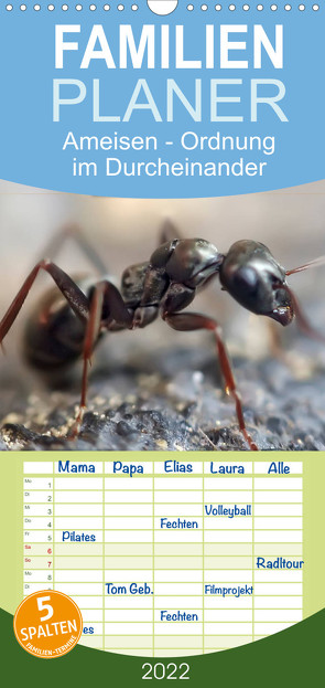 Familienplaner Ameisen – Ordnung im Durcheinander (Wandkalender 2022 , 21 cm x 45 cm, hoch) von Roder,  Peter
