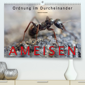 Ameisen – Ordnung im Durcheinander (Premium, hochwertiger DIN A2 Wandkalender 2023, Kunstdruck in Hochglanz) von Roder,  Peter