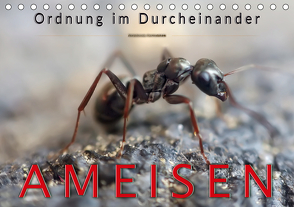 Ameisen – Ordnung im Durcheinander (Tischkalender 2021 DIN A5 quer) von Roder,  Peter