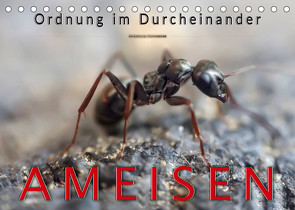 Ameisen – Ordnung im Durcheinander (Tischkalender 2022 DIN A5 quer) von Roder,  Peter