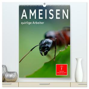 Ameisen quirlige Arbeiter (hochwertiger Premium Wandkalender 2024 DIN A2 hoch), Kunstdruck in Hochglanz von Roder,  Peter