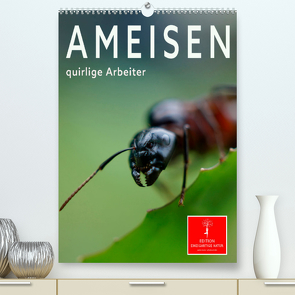 Ameisen quirlige Arbeiter (Premium, hochwertiger DIN A2 Wandkalender 2023, Kunstdruck in Hochglanz) von Roder,  Peter