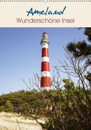 Ameland Wunderschöne Insel (Wandkalender 2019 DIN A2 hoch) von Herzog,  Gregor
