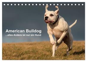 American Bulldog – alles Andere ist nur ein Hund (Tischkalender 2024 DIN A5 quer), CALVENDO Monatskalender von Schmöhl,  Denise