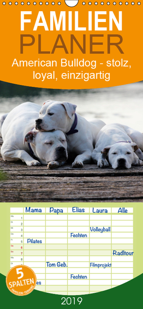American Bulldog – stolz, loyal, einzigartig – Familienplaner hoch (Wandkalender 2019 , 21 cm x 45 cm, hoch) von Schmöhl,  Denise