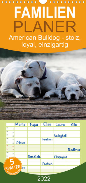 Familienplaner American Bulldog – stolz, loyal, einzigartig (Wandkalender 2022 , 21 cm x 45 cm, hoch) von Schmöhl,  Denise