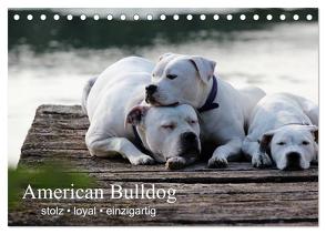 American Bulldog – stolz, loyal, einzigartig (Tischkalender 2024 DIN A5 quer), CALVENDO Monatskalender von Schmöhl,  Denise