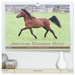 American Miniature Horse (hochwertiger Premium Wandkalender 2024 DIN A2 quer), Kunstdruck in Hochglanz von Mielewczyk,  Barbara