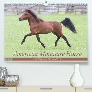 American Miniature Horse (Premium, hochwertiger DIN A2 Wandkalender 2022, Kunstdruck in Hochglanz) von Mielewczyk,  Barbara