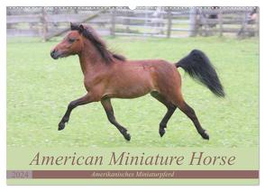 American Miniature Horse (Wandkalender 2024 DIN A2 quer), CALVENDO Monatskalender von Mielewczyk,  Barbara