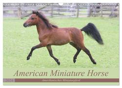 American Miniature Horse (Wandkalender 2024 DIN A3 quer), CALVENDO Monatskalender von Mielewczyk,  Barbara