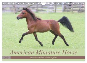 American Miniature Horse (Wandkalender 2024 DIN A4 quer), CALVENDO Monatskalender von Mielewczyk,  Barbara