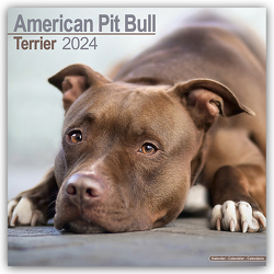 American Pit Bull Terrier 2024 – 16-Monatskalender