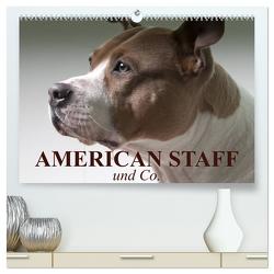 American Staff und Co. (hochwertiger Premium Wandkalender 2024 DIN A2 quer), Kunstdruck in Hochglanz von Stanzer,  Elisabeth