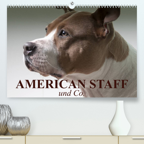 American Staff und Co. (Premium, hochwertiger DIN A2 Wandkalender 2023, Kunstdruck in Hochglanz) von Stanzer,  Elisabeth