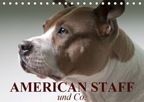 American Staff und Co. (Tischkalender 2019 DIN A5 quer) von Stanzer,  Elisabeth