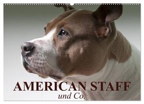 American Staff und Co. (Wandkalender 2024 DIN A2 quer), CALVENDO Monatskalender von Stanzer,  Elisabeth