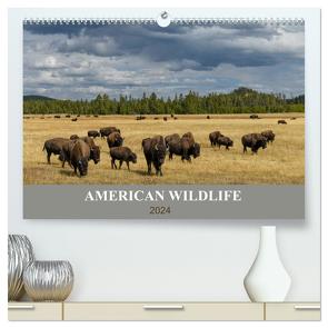 American Wildlife (hochwertiger Premium Wandkalender 2024 DIN A2 quer), Kunstdruck in Hochglanz von Heeb,  Christian